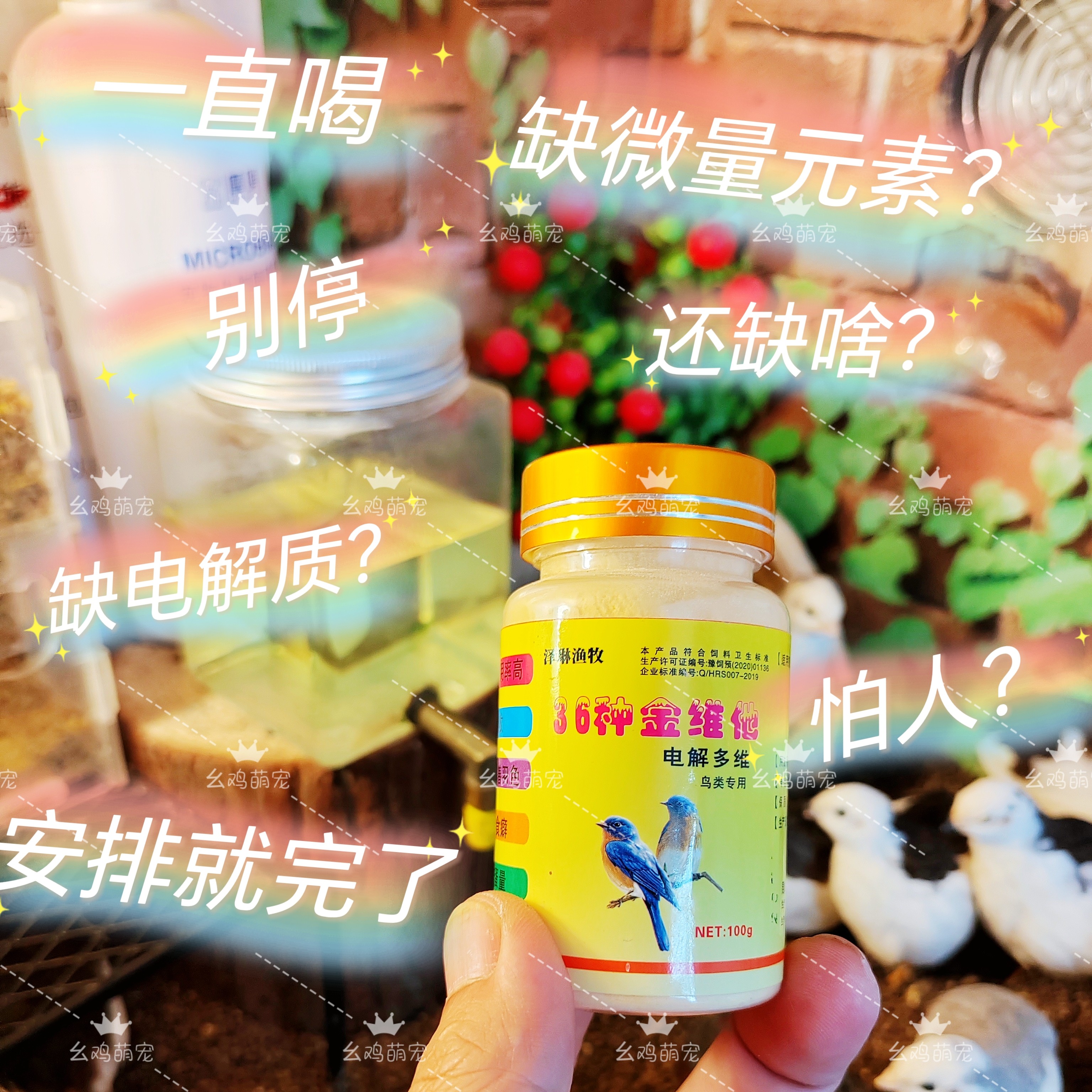 鸟用维生素36金维他电解多维诱食生长芦丁鸡牡丹鸟食饲料养鸟常备