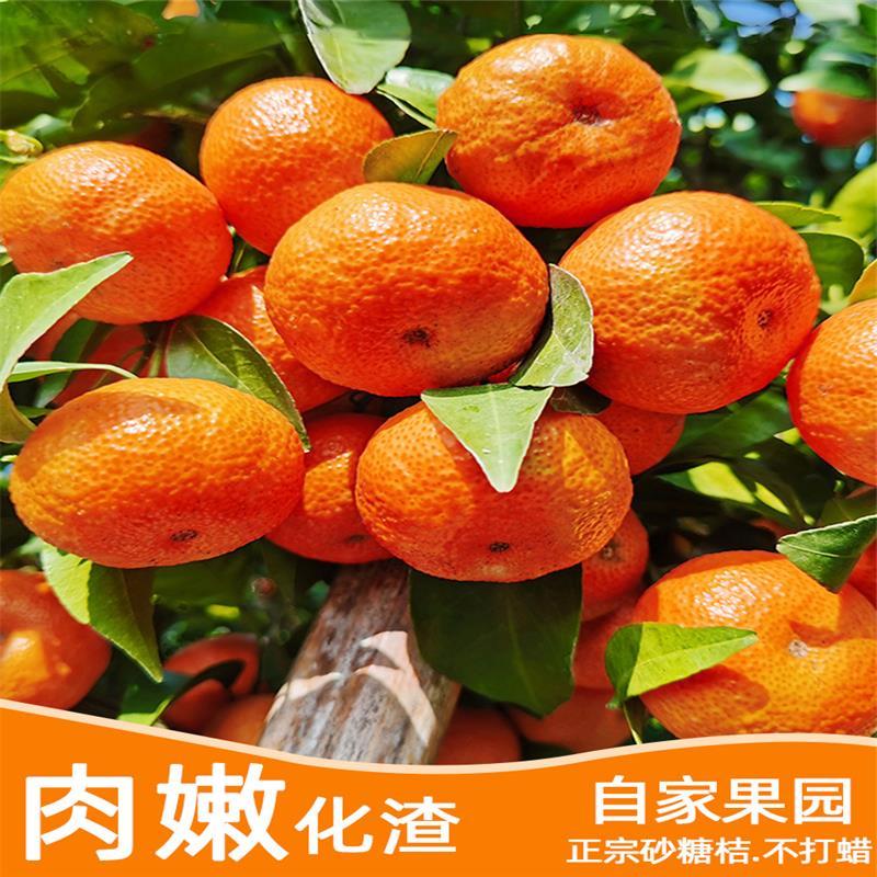 顺丰新鲜现摘广西桂林砂糖橘沙糖桔橘子桔子孕妇水果当季时令水果