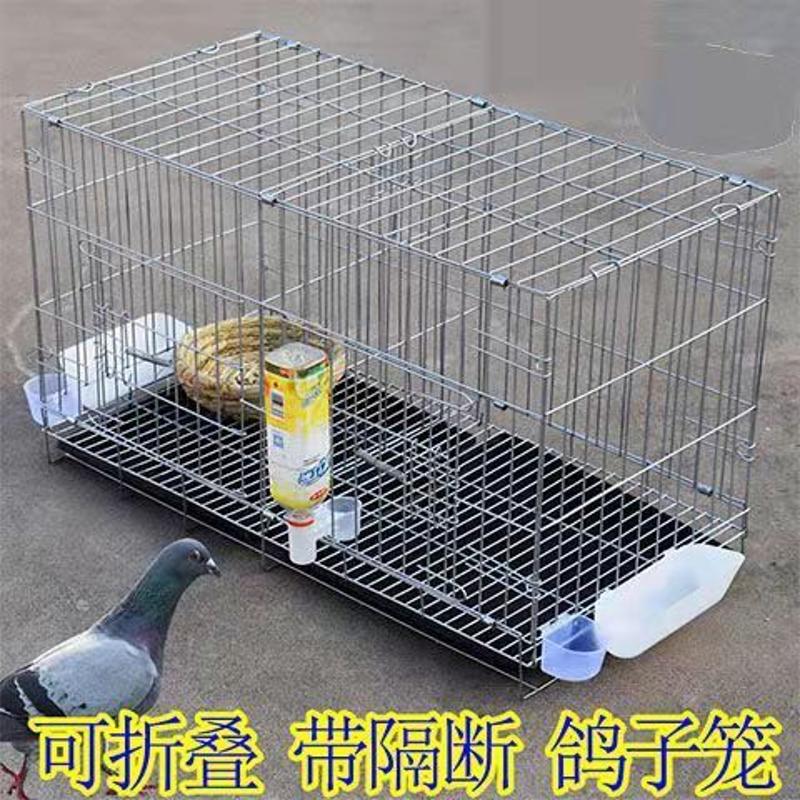 鸽子笼大号家用折叠带隔断鸽笼配对养殖繁殖笼子鸽子用具鸽棚鸽舍