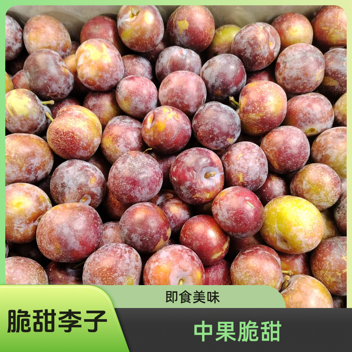 脆甜脆红李（中果2斤/份）