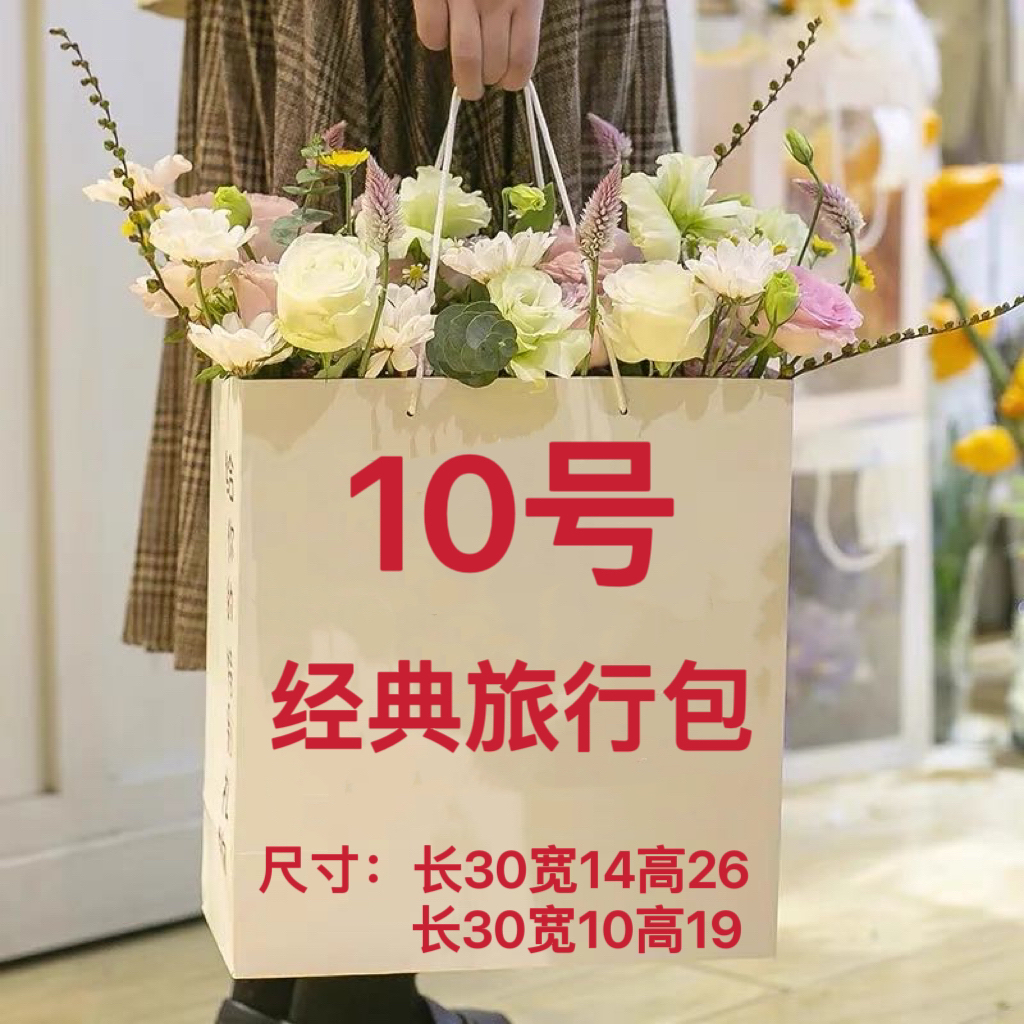 10号-时尚轻奢旅行包
