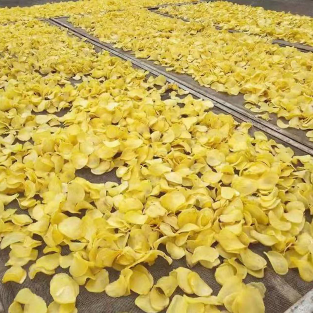 农家黄心土豆片干货农货MJ
