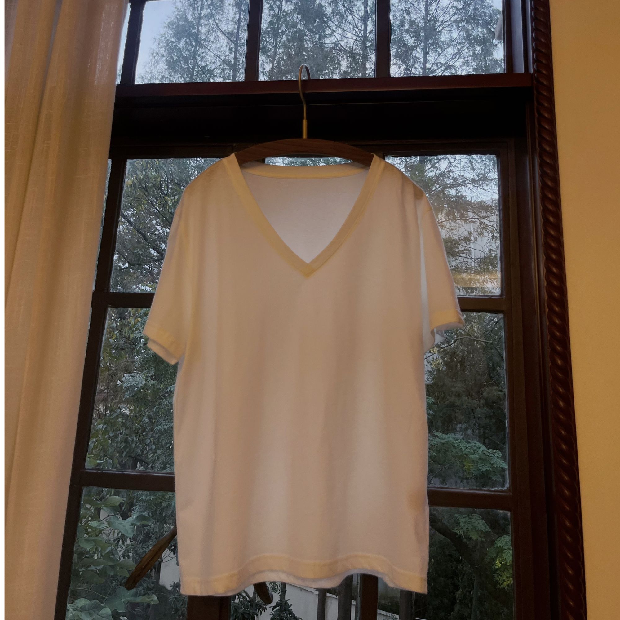 【浅色贴身不退换】软糯V领白T恤春游