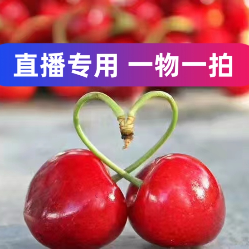 【直播专用  一物一拍 】 对版车厘子树苗带花苞  顺丰包邮