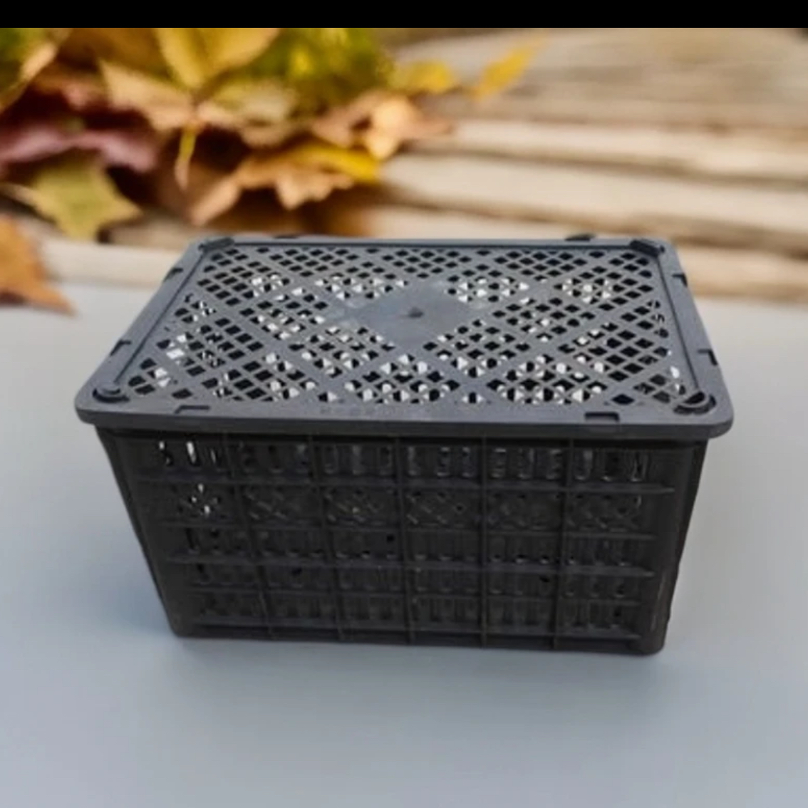 鸟笼三黄鸡快大麻黑羽鸟笼