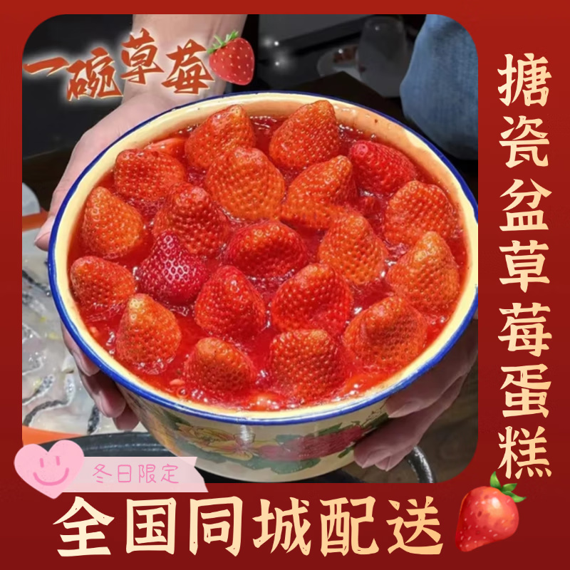 2026网红款搪瓷盆的草莓蛋糕生日女生男孩款茶缸儿童全国同城配送