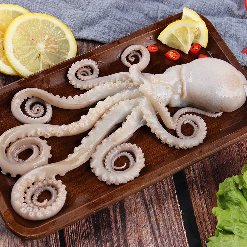 野生长腿爆头八爪鱼 一斤5-7条左右  鲜活速冻发货42