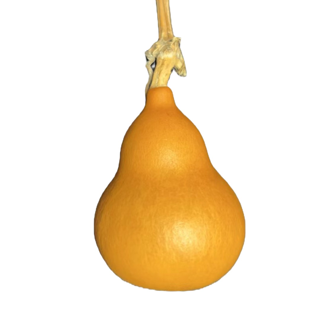 葫芦手把件酒葫芦文玩大小号摆件手串葫芦（仅供直播间选购链接）