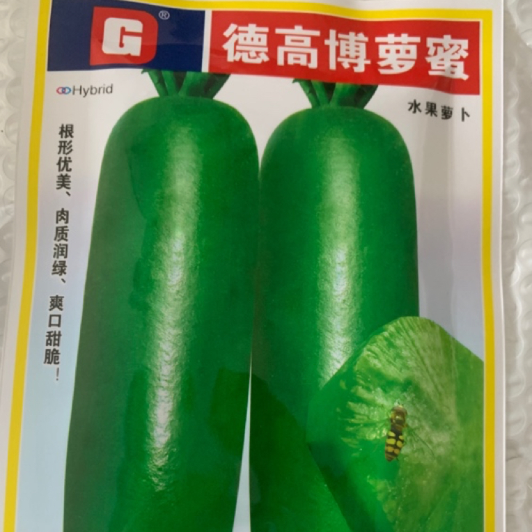 甜脆萝卜种子潍县萝卜种籽四季沙窝水果萝卜种子青萝卜种子