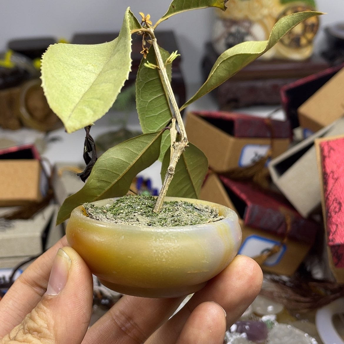 【闪购商品】玛瑙手饰合金