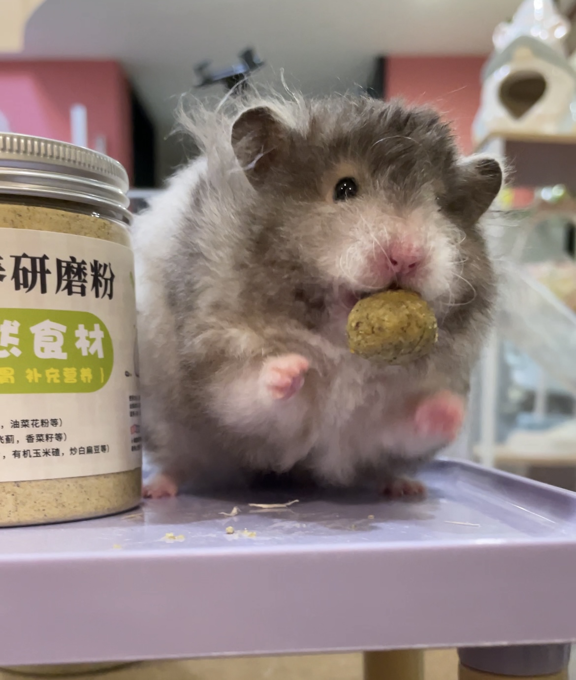 金丝熊营养糊糊 长肉 美毛 补充营养 小宠 仓鼠 主食糊糊 猴头菇