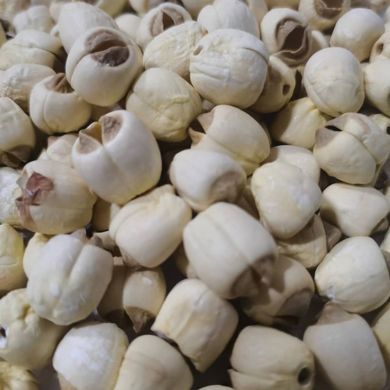 《莲子》 250g~500g