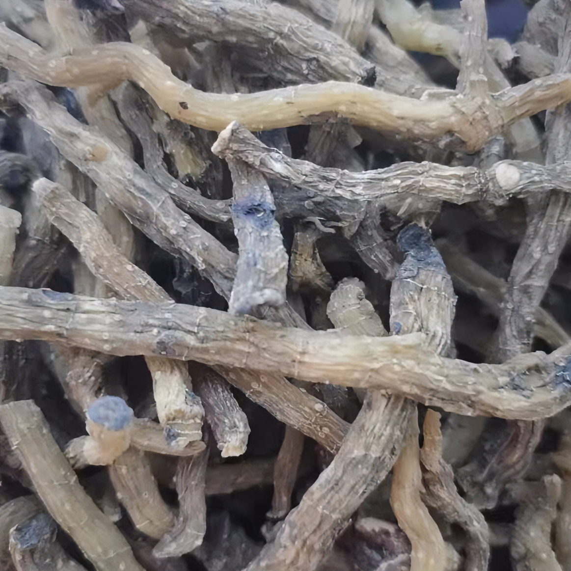 玉竹   500克/一斤 250克/半斤（同鸡.鸭煲汤，煮水等用法）