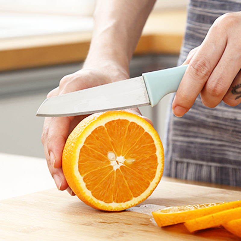 北欧色不锈钢塑料柄带保护套水果刀