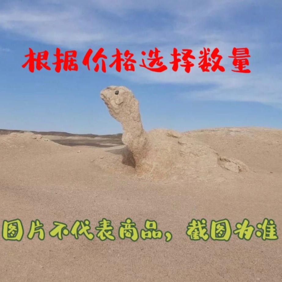 戈壁石、奇石、沙漠漆、泥石、风凌石直播间专业链接，随机发货