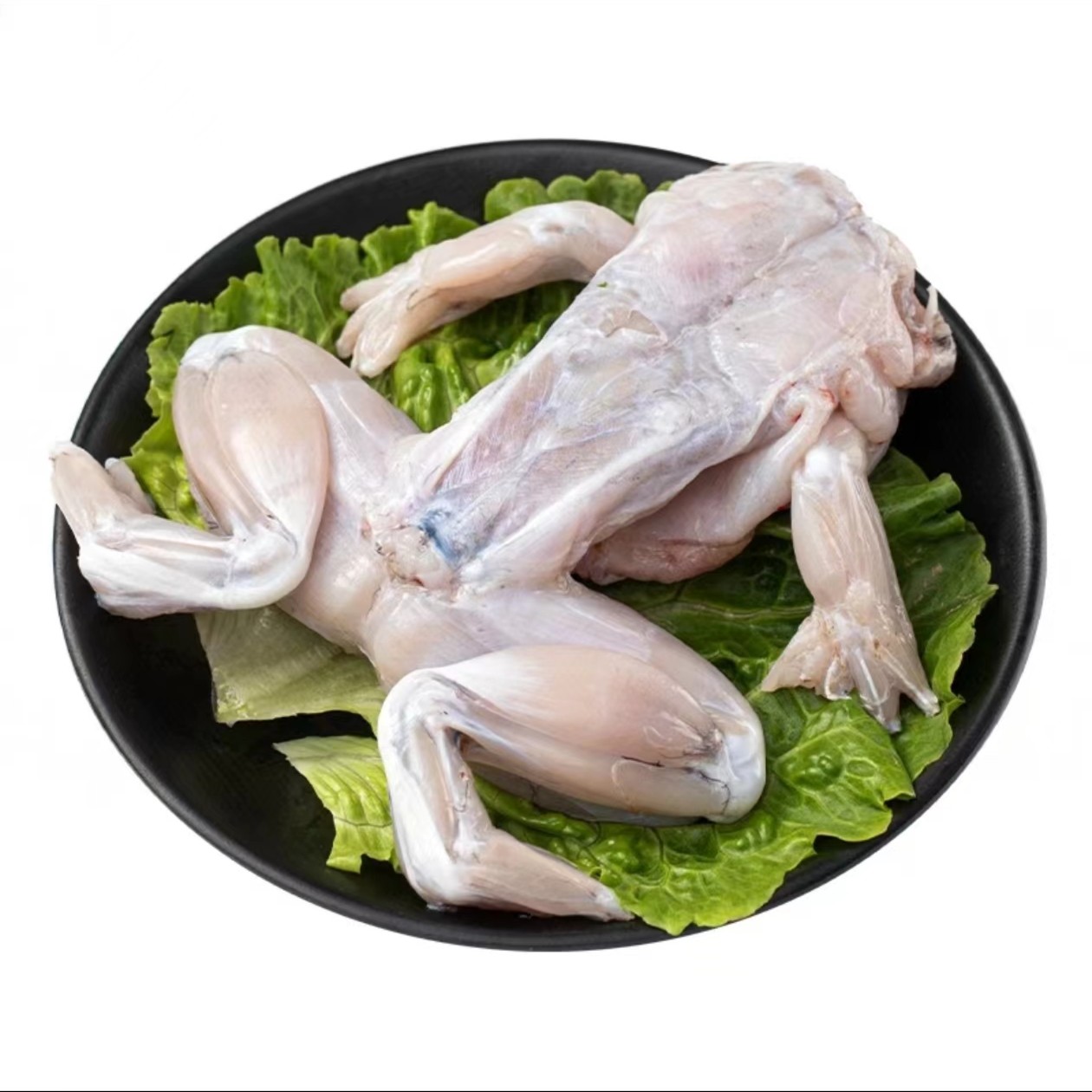 鲜活牛蛙 处理好发货 腿肉饱满 200-230g/只