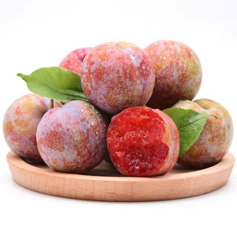 信宜双华李（盒）(450g)