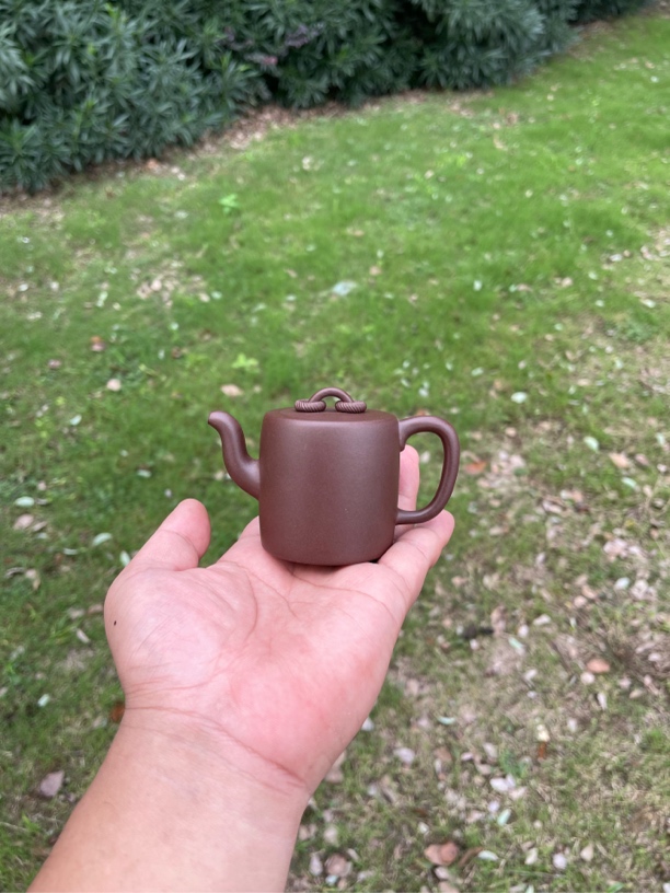 《双圈壶》原矿紫泥 100毫升