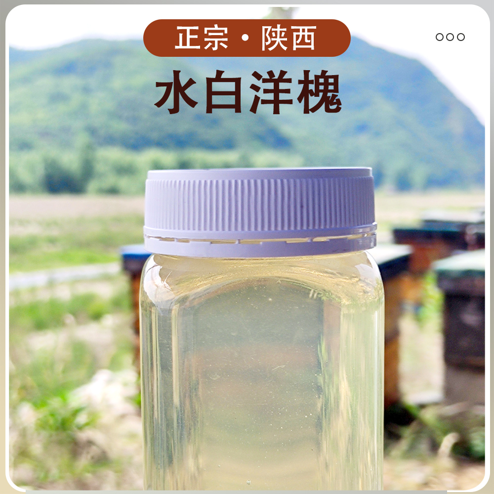赶花集2023过滤陕西洋槐蜜自然成熟食用罐装原蜜蜂蜜野生自采
