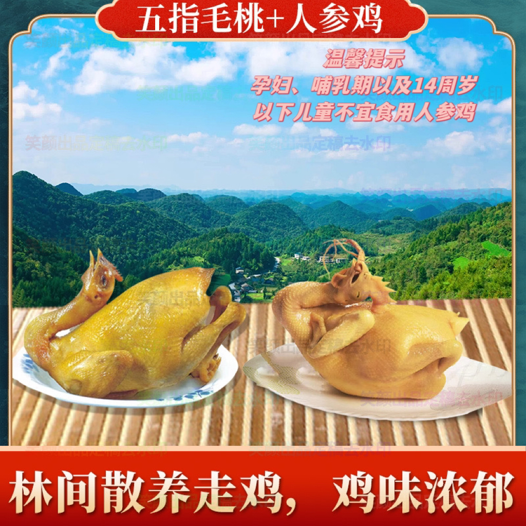 林间凤--五指毛桃鸡【嫩滑】+人参鸡【嫩身】江门农场直发正宗散养