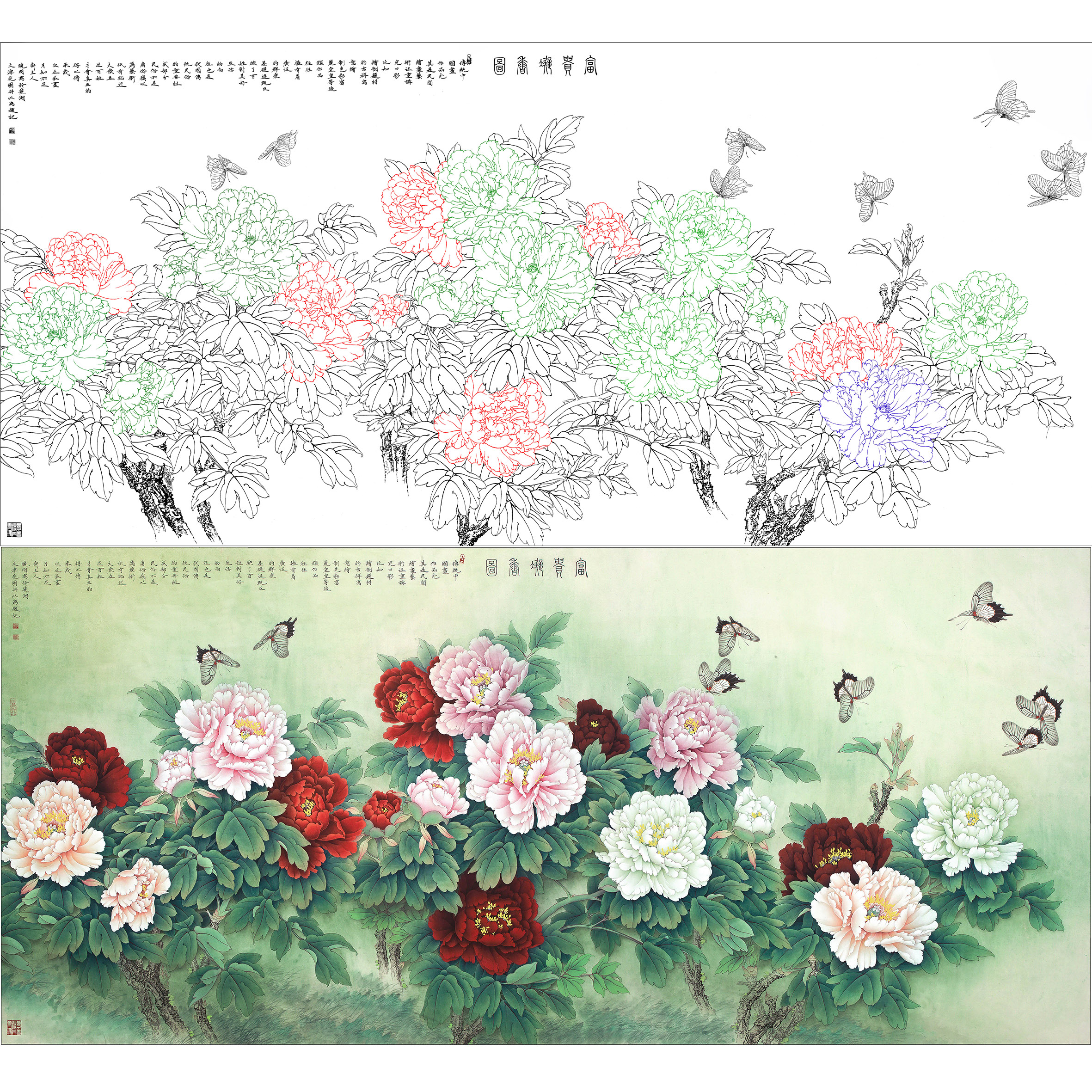 （牡丹和蝴蝶）白描底稿—李晓明—富贵凝香