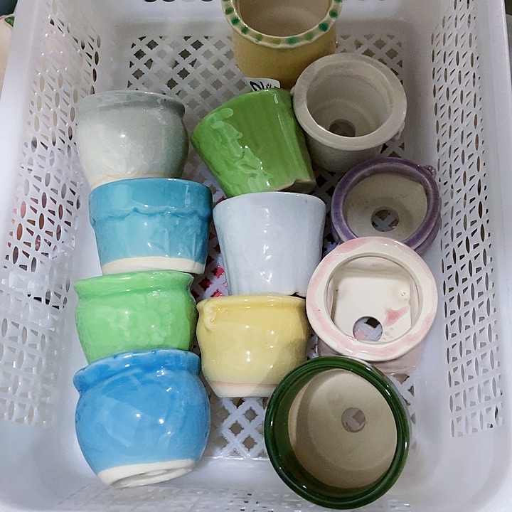 红陶20CM（含）-50CM（不含）