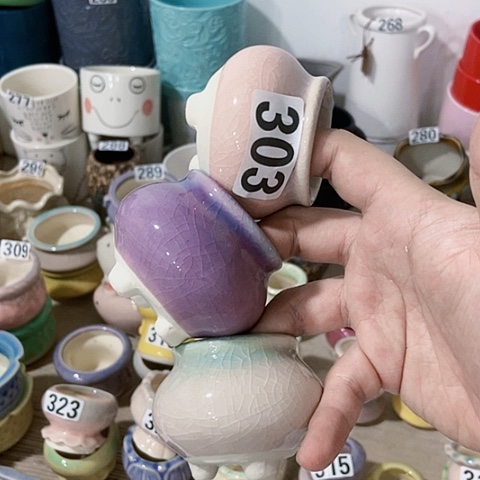 红陶订单凑满12包邮