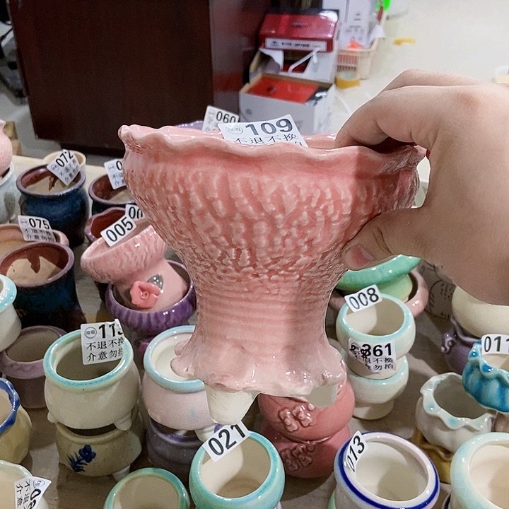 红陶20CM（含）-50CM（不含）