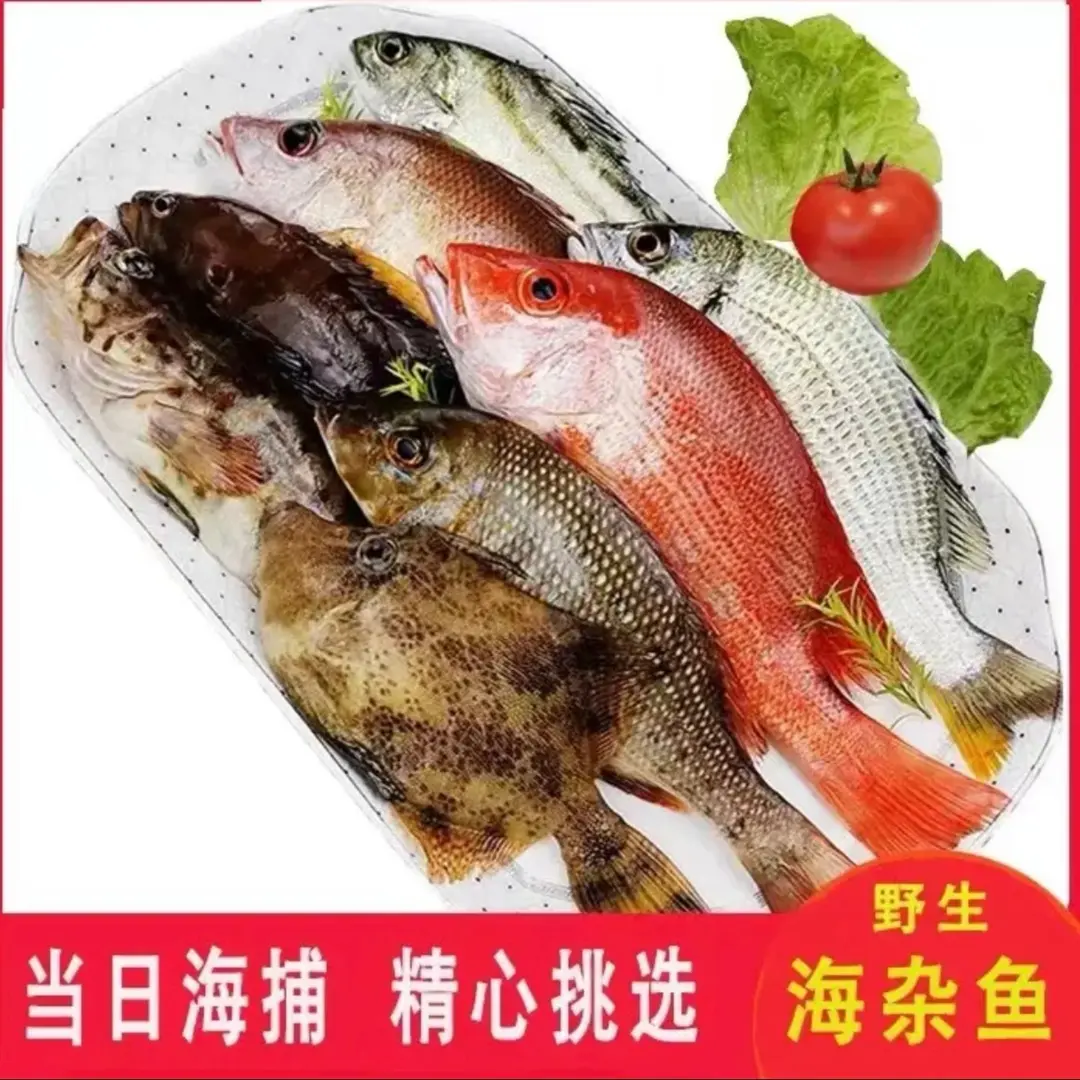 （东海优品）2号东海杂鱼海鲜  (规格重量以直播间为准2000克)