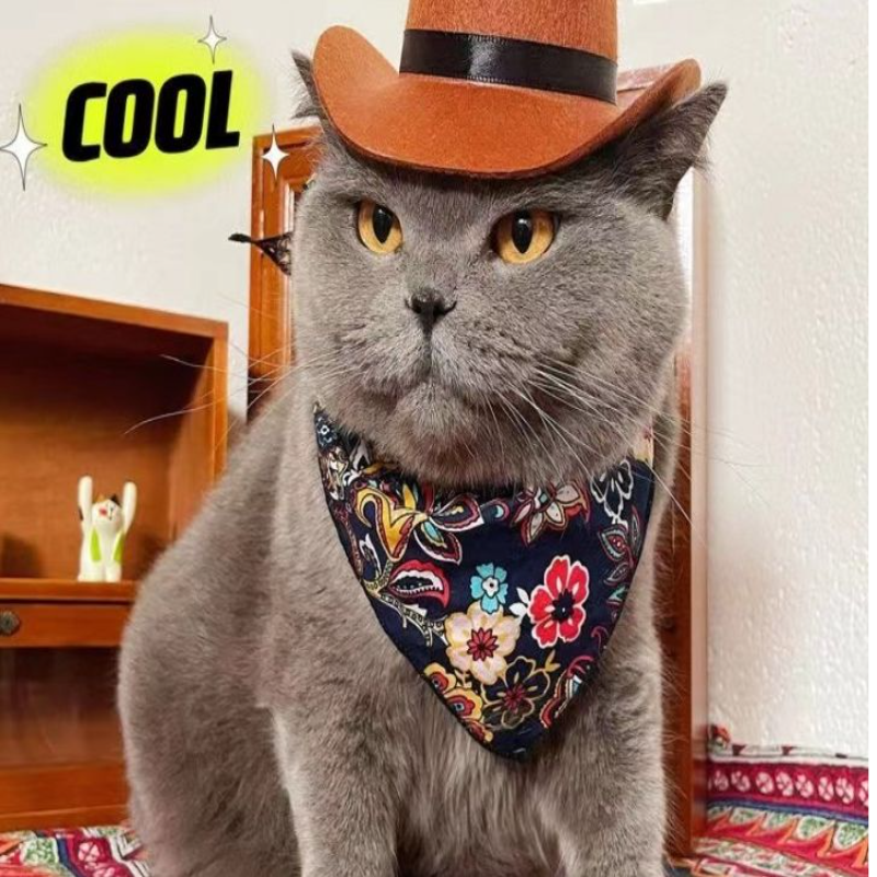 宠物猫咪狗狗西部牛仔帽迷你牛仔小帽子拍照装饰道具派对头饰配饰