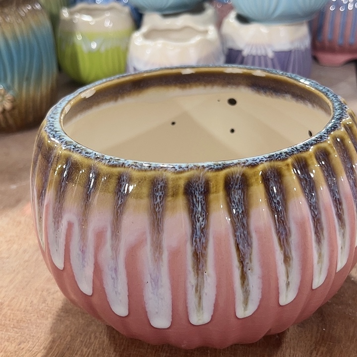 红陶20CM以下福利价福利款