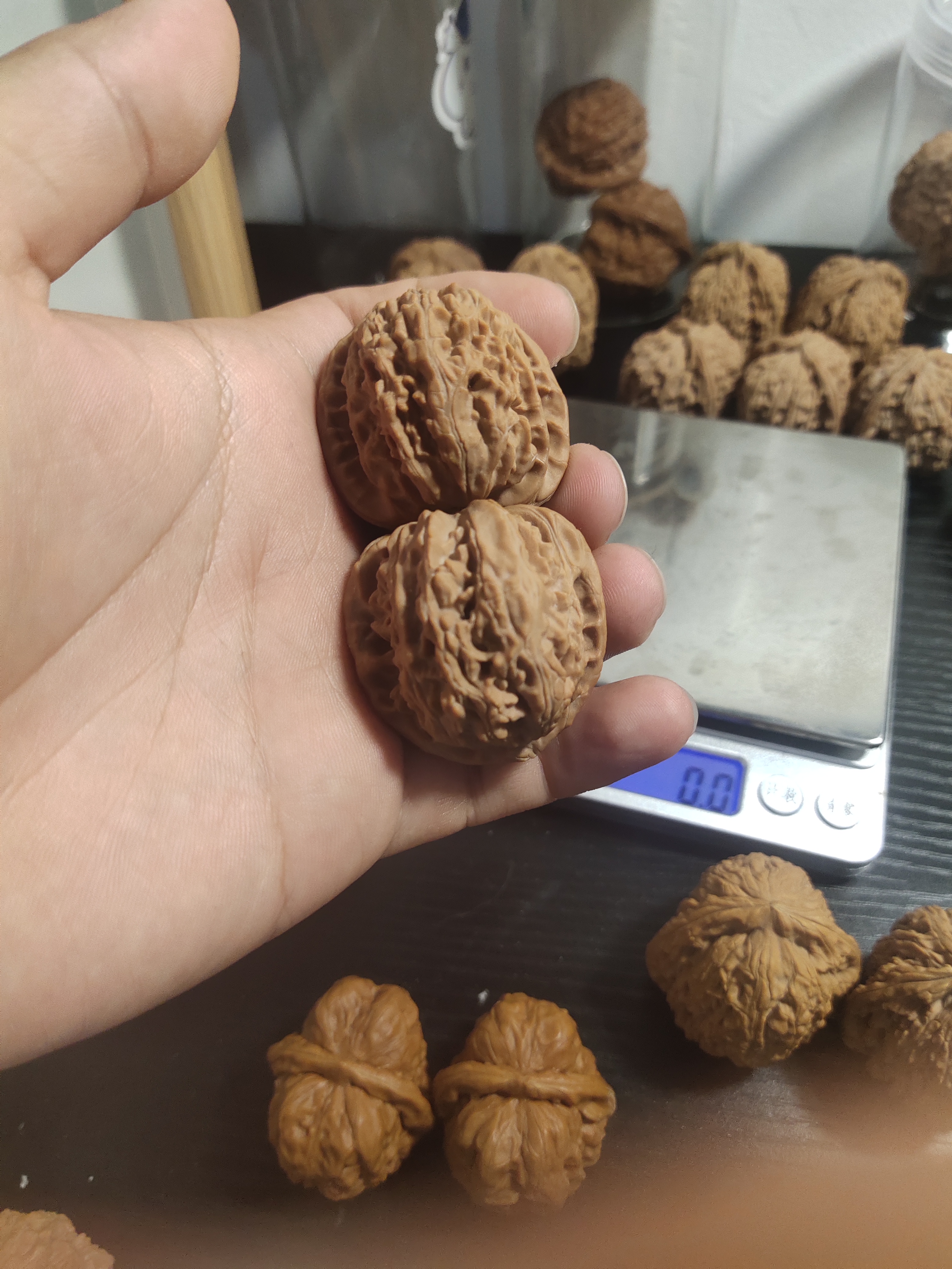 白狮子全品无修38