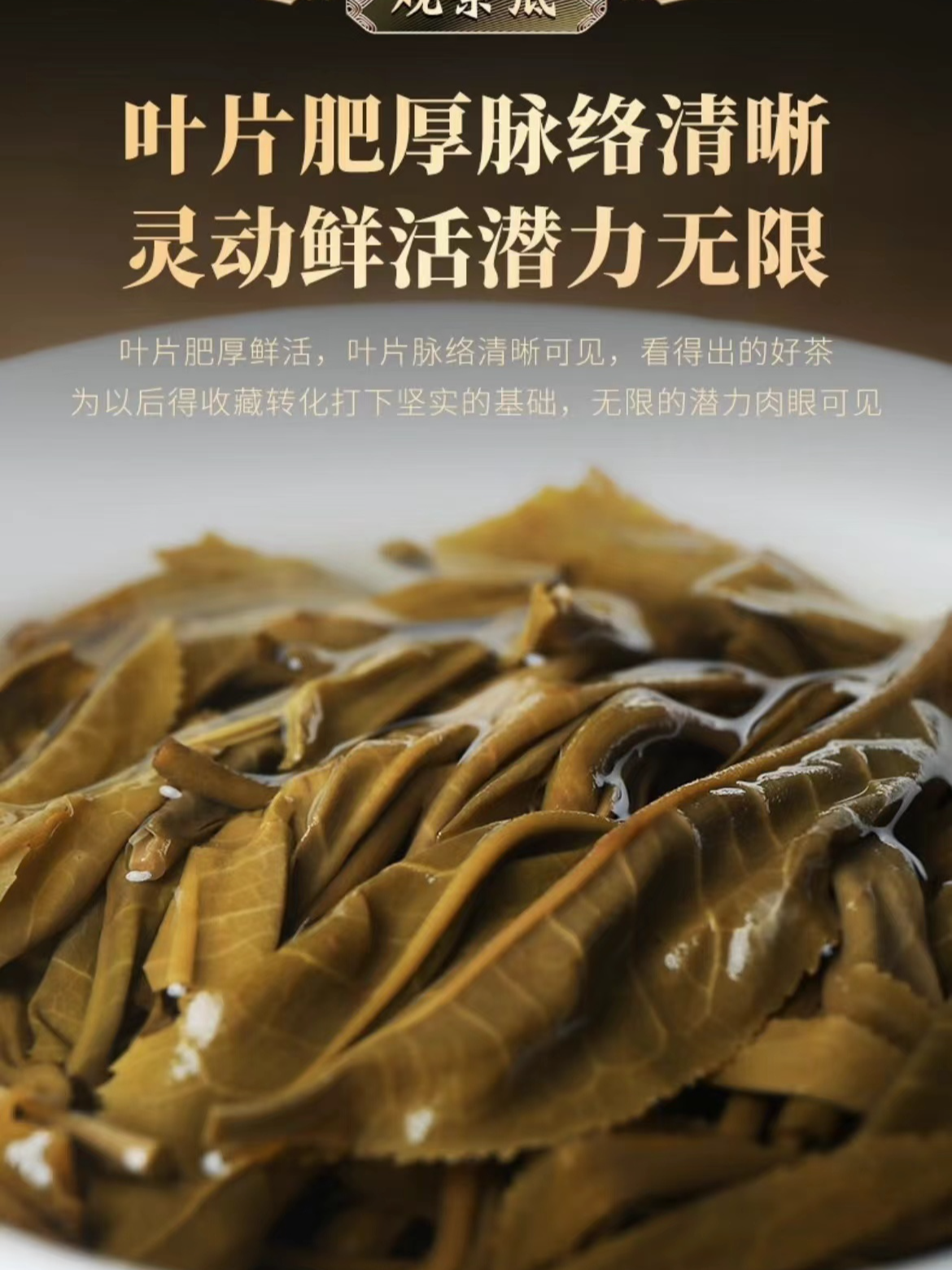 莽枝红毛丹高杆古树-2024云南普洱茶-头春生茶-100g