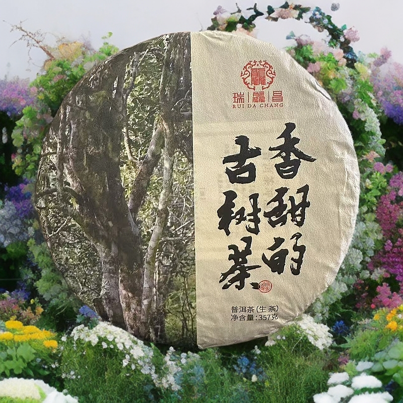 2024年-香甜的古树茶头春普洱茶357克生茶