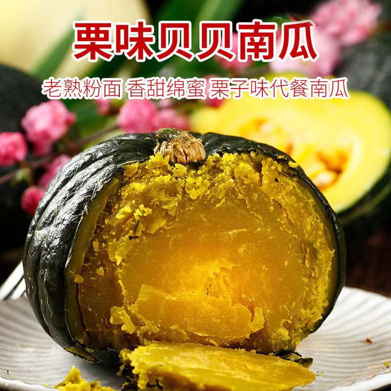 【正宗贝贝南瓜】潍坊原产地粉糯香甜板栗味贝贝小南瓜3斤5斤装代餐