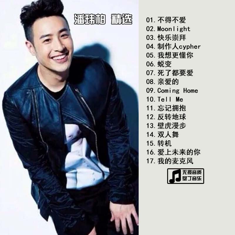 华语流行无损音乐潘玮柏 精选合集汽车音乐CD 车载无损CD碟片光盘