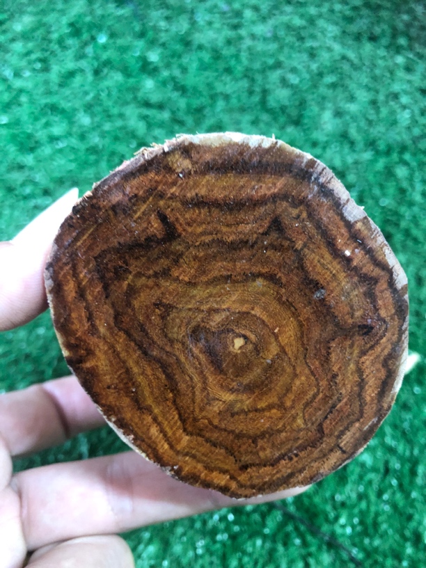 海黄原木手把玩料实心树桩