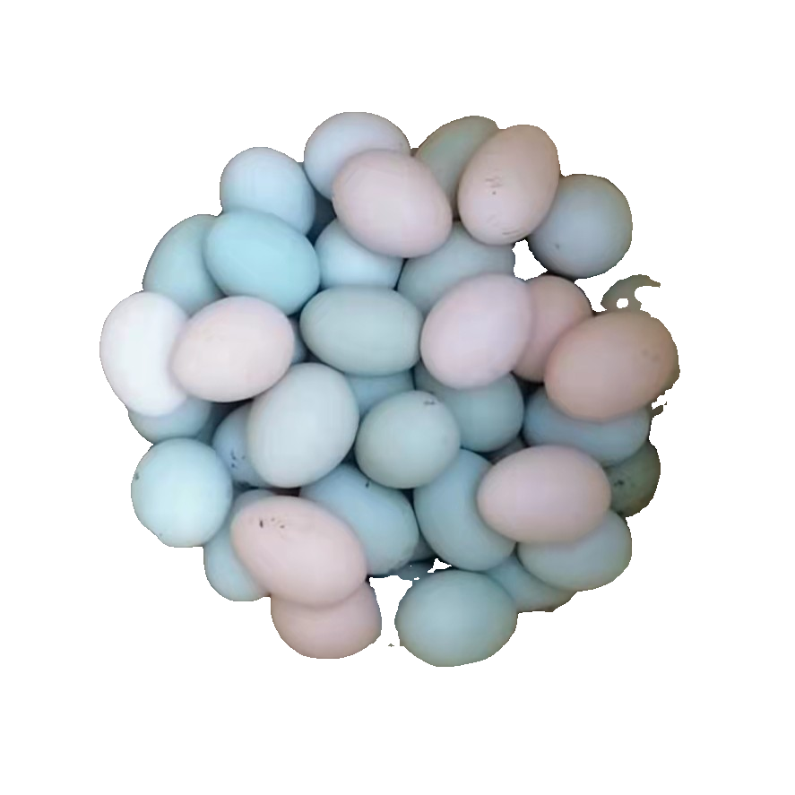 山林中放养 土鸡蛋  喂食稻谷，玉米，豆腐渣 绿壳鸡蛋  50枚装。