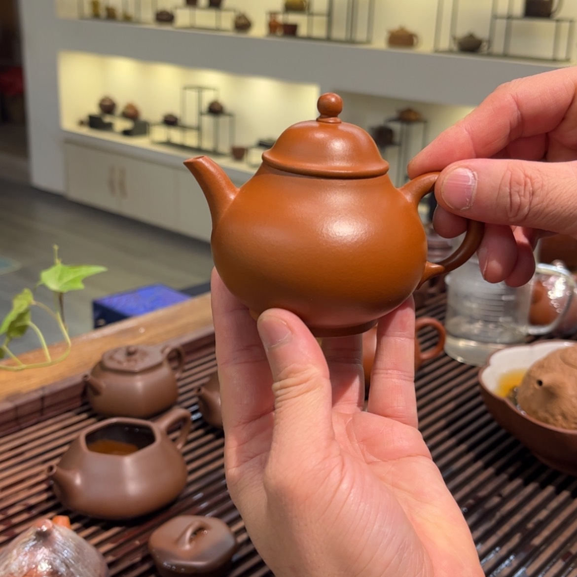 【闪购商品】紫砂茶壶默*.