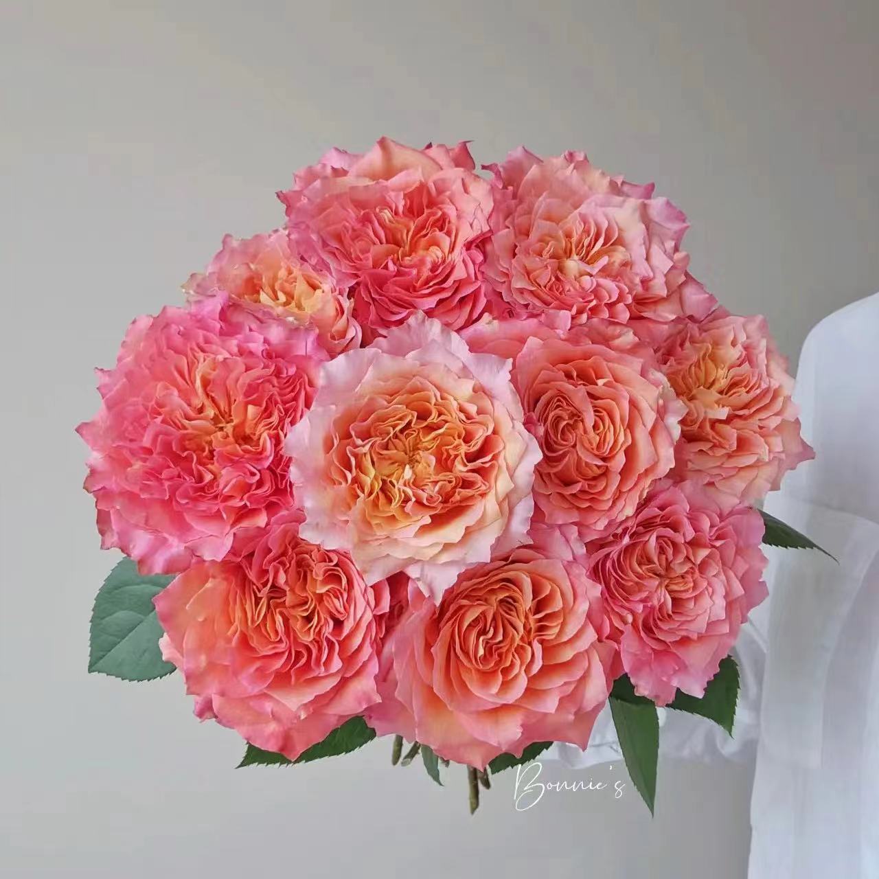 火灵鸟 玫瑰鲜花 全场买两单及以上包邮 云南基地直发