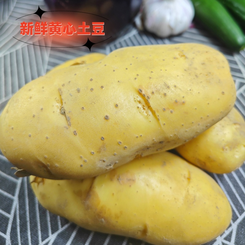 新土豆2024现挖黄皮黄行土豆新鲜农家土豆应季蔬菜