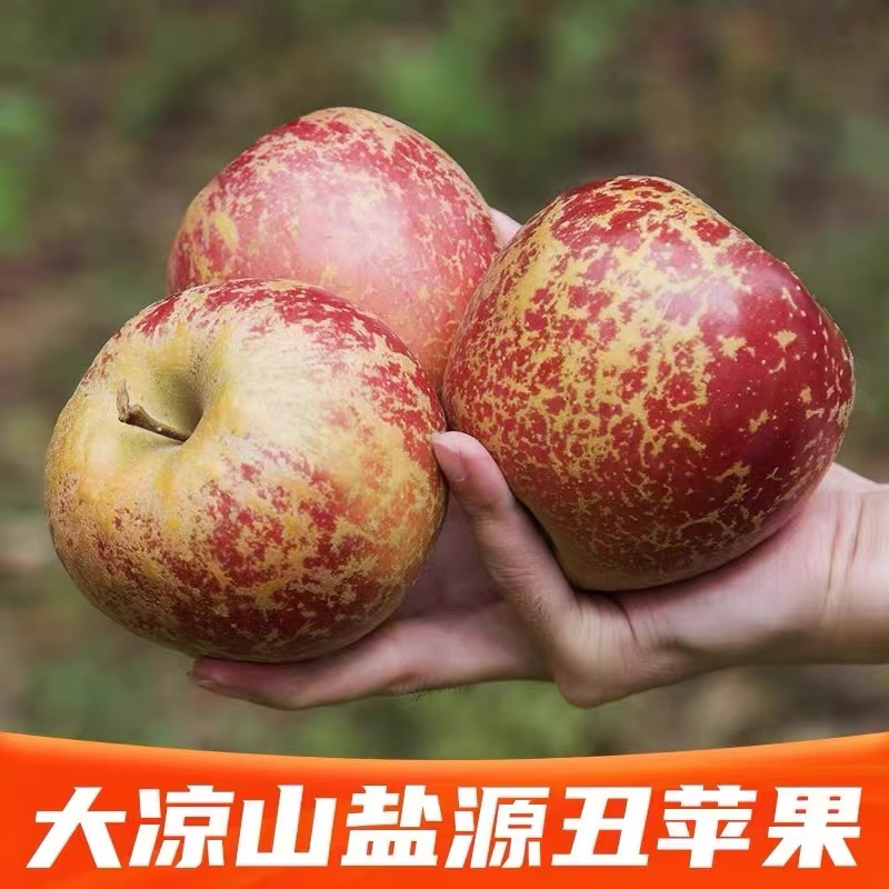 【头茬果保糖心】四川大凉山盐源丑苹果新鲜采摘现发自家果园5/8斤