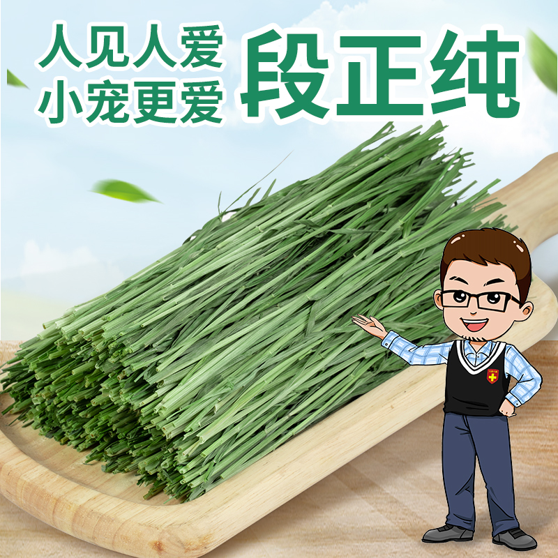 【高一】2025年新段正纯烘干北提摩西草段兔子龙猫荷兰猪主牧岷县国