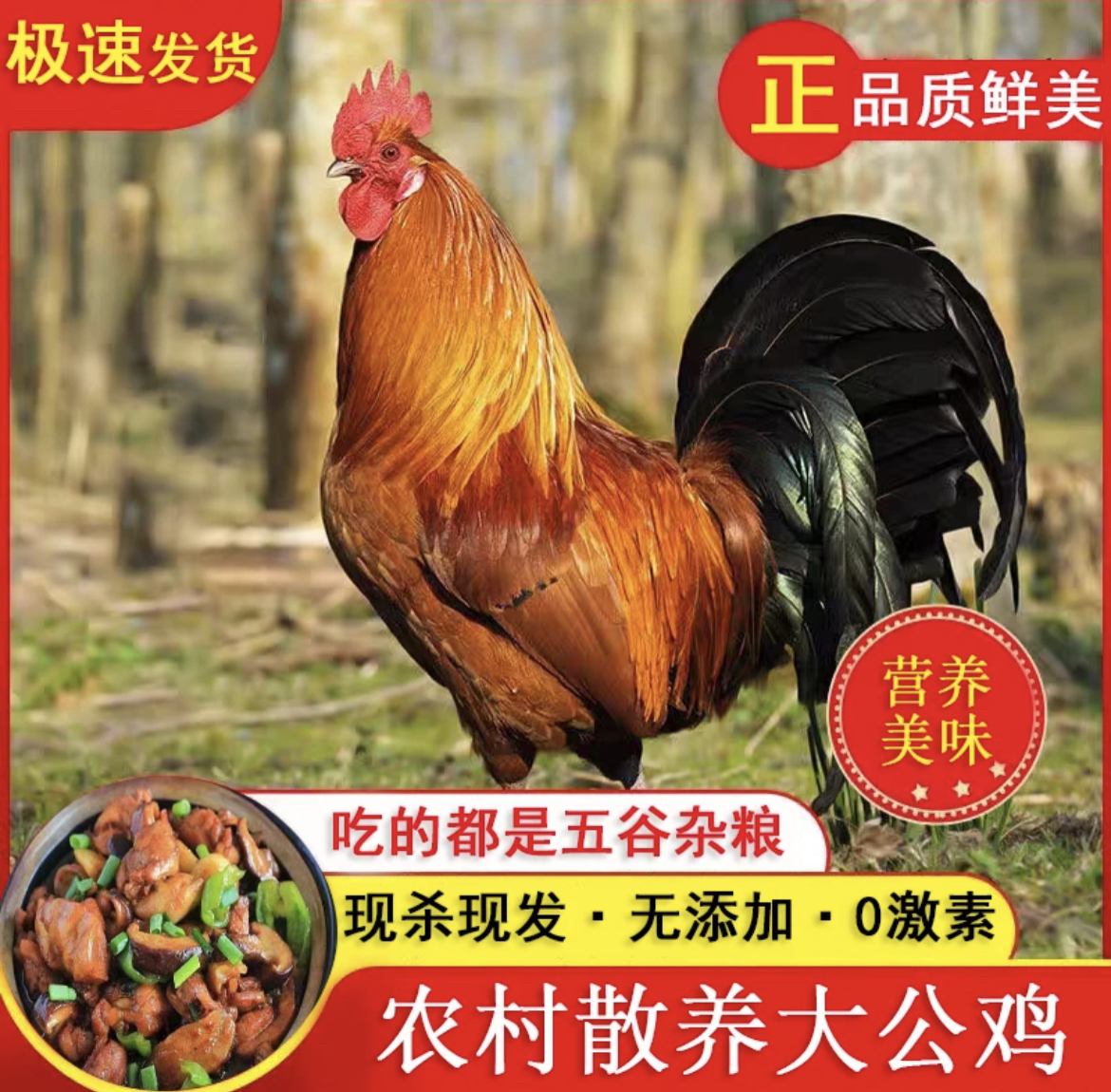 体验装 1只东北大冠公鸡 黑腿黄腿随机发 净重4斤以上 黑龙江发货