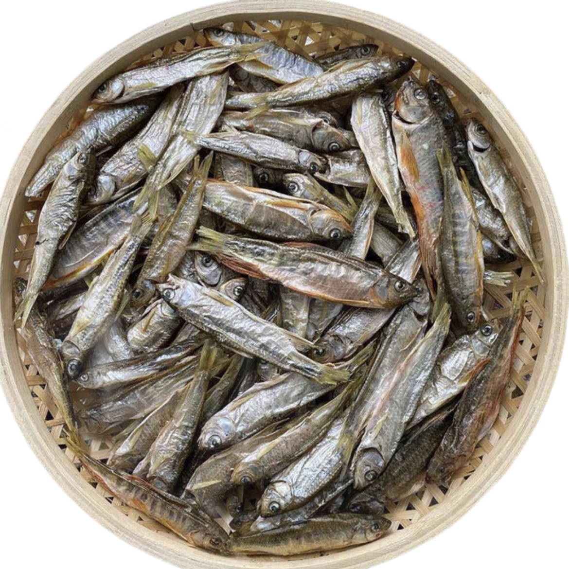 大别山岳西淡水河鱼河鱼马口鱼溪流小河鱼 250克起