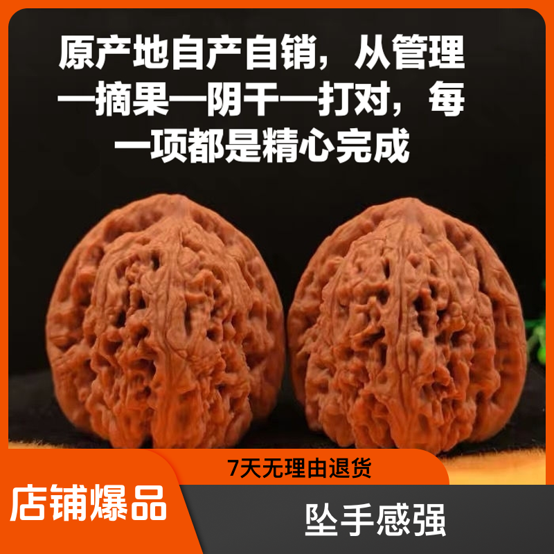 赵喜满南疆石核桃