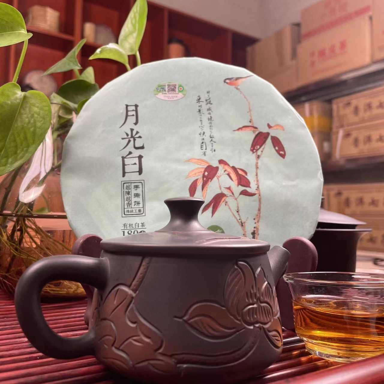 【云南景谷秧塔】【有机月光白】【2023头采春茶】白茶高山清香花果香