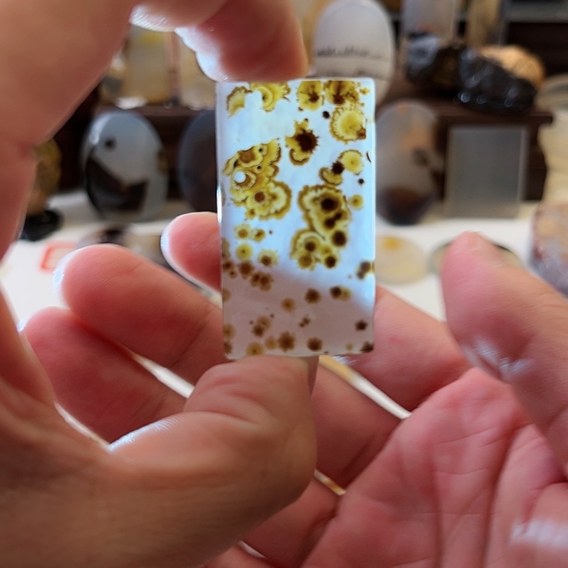 【闪购商品】玛瑙/玉髓珠宝奇石未镶嵌