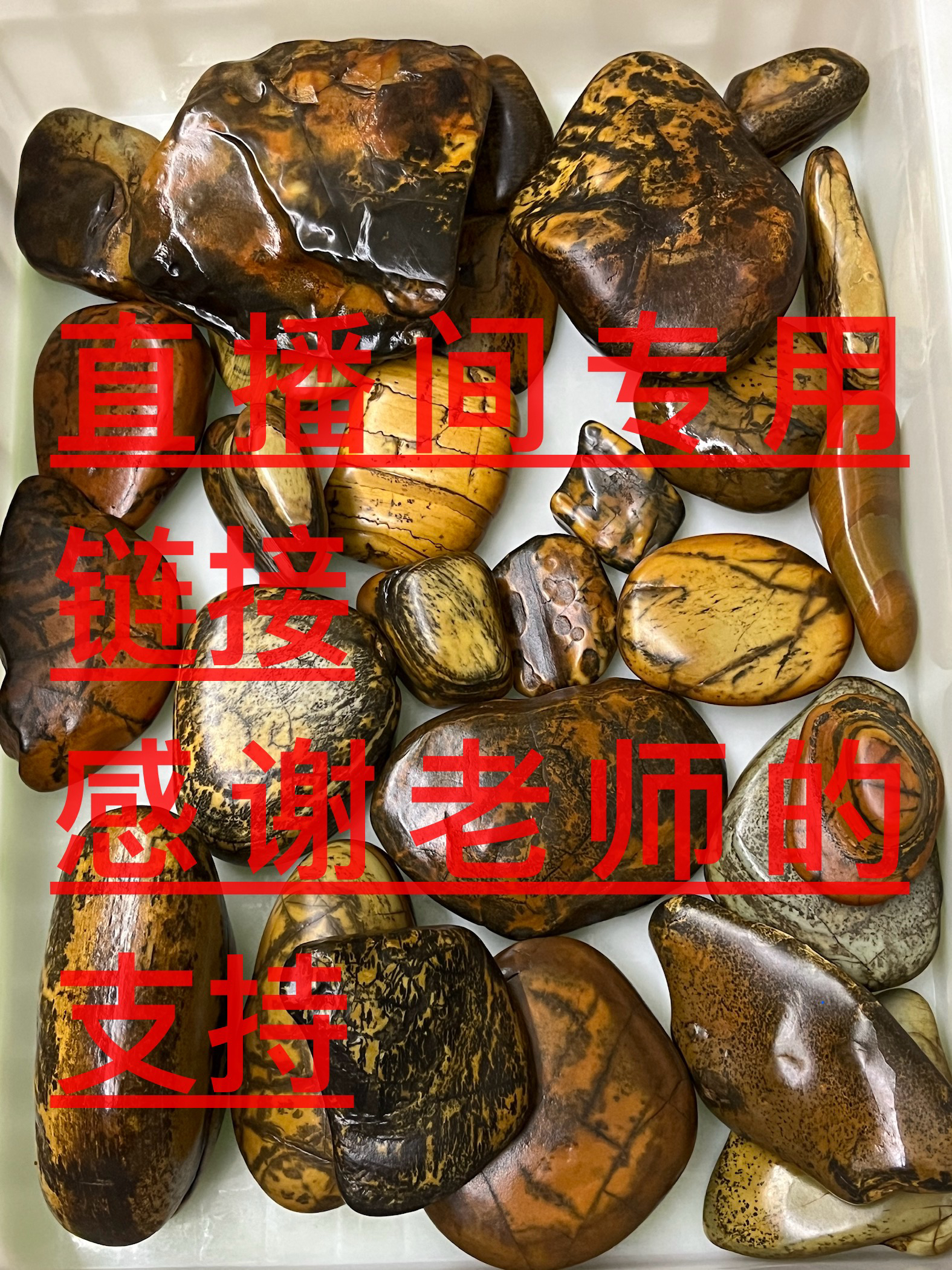 天然原石摆件，大化石大湾石彩陶石卷纹石