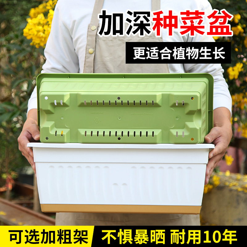 环保耐用种菜盆家庭环保适合蔬菜花卉品质塑料长条花盆阳台种植盆